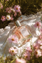 PERFUME CLEARANCE SALE !